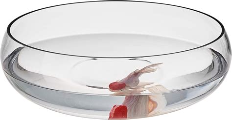 Amazon.com: Large Glass Fish Bowl.